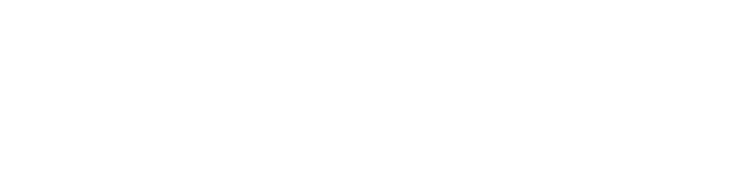 festei.net